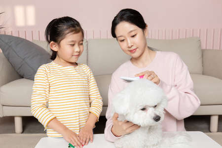 Asian Korean mother and daughter brushing a puppy dog