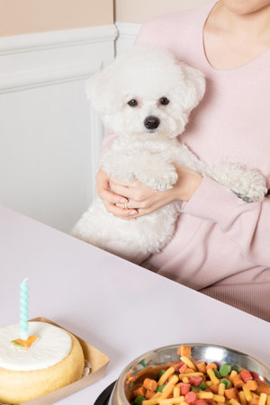 asian korean, a puppy dog looking at the cakeの写真素材