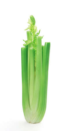 Celery against white background