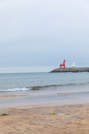 Iho Tewoo beach in Jeju Island of Koreaの写真素材
