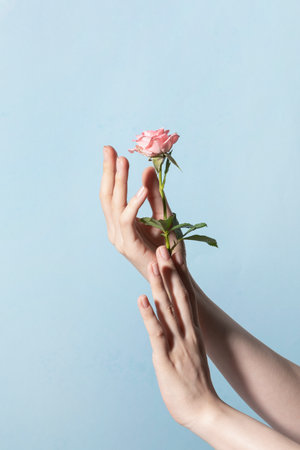 beauty hands motion series_holding rosesの写真素材