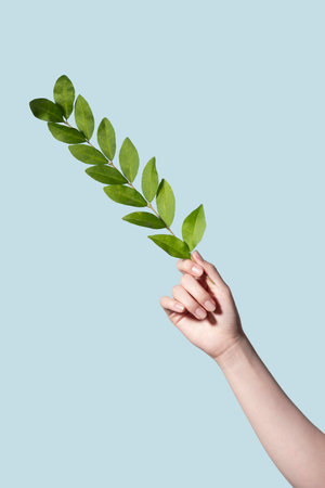 beauty hands motion series_holding leavesの写真素材