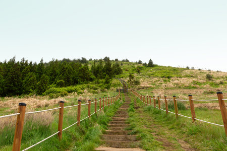 Baegyagi Oreum volcanic cone in Jeju island, Korea