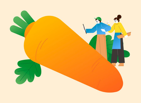little farmers, people checking monitoring condition of harvested vegetable_carrotのイラスト素材