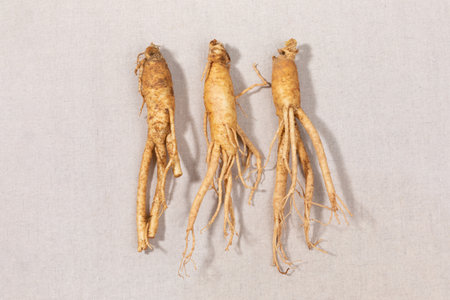 oriental, medicinal root plant, fresh ginseng