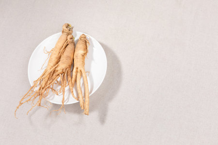 oriental, medicinal root plant, fresh ginsengの写真素材
