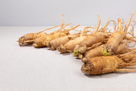 oriental, medicinal root plant, fresh ginsengの写真素材