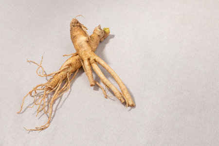 oriental, medicinal root plant, fresh ginsengの写真素材