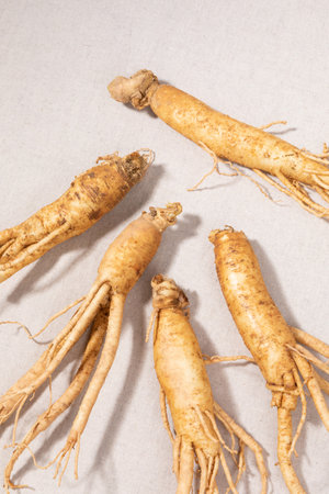 oriental, medicinal root plant, fresh ginsengの写真素材