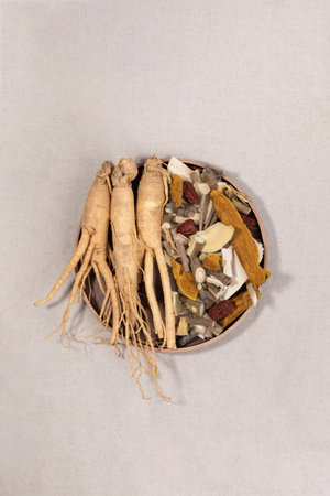 oriental, medicinal root plant, fresh ginsengの写真素材