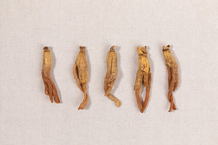 oriental, medicinal root plant, fresh ginseng