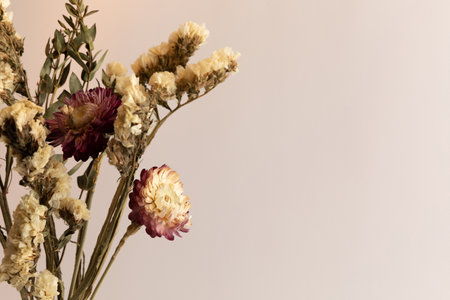 autumn aesthetics mood background with paper frame, dry flowerの写真素材