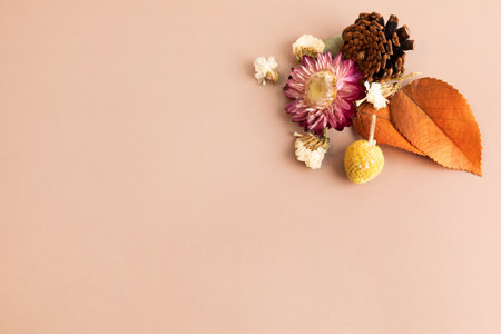 autumn aesthetics mood background with paper frame, dry flower