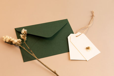 autumn aesthetics mood background with paper frame, dry flowerの写真素材