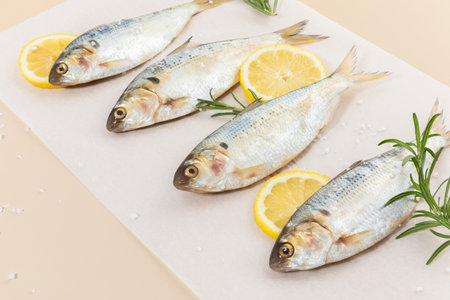 salt and gizzard shad fishの写真素材