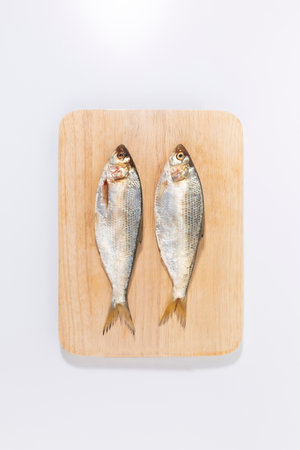 gizzard shad fish in a bowlの写真素材