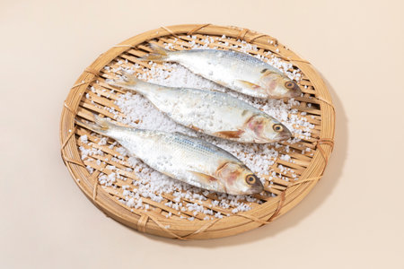 salt and gizzard shad fish