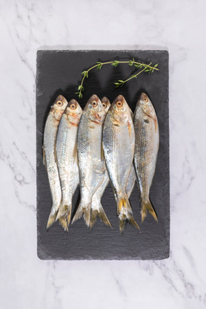 gizzard shad fish in a bowlの写真素材