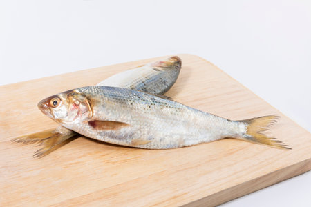 gizzard shad fish in a bowl