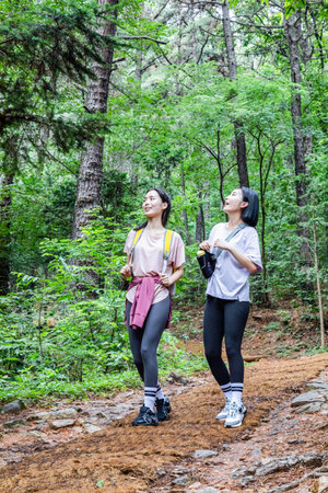 korean young women hiking and plogging_trekking mountainの写真素材