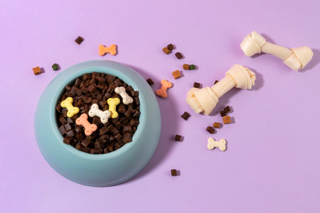 creative concept photo of healthy pet dog food and treats