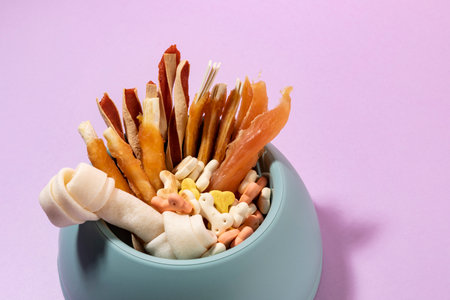 creative concept photo of healthy pet dog food and treatsの写真素材