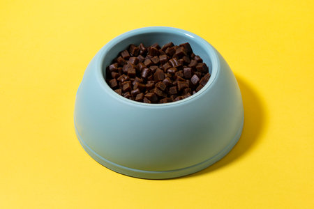 creative concept photo of healthy pet dog food and treats