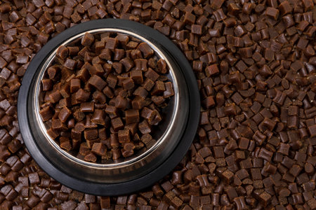 creative concept photo of healthy pet dog food and treats