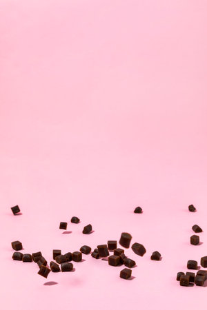 creative concept photo of healthy pet dog food and treatsの写真素材
