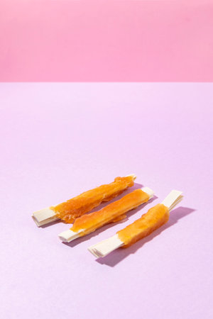 creative concept photo of healthy pet dog food and treatsの写真素材