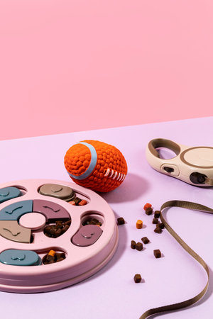 creative concept photo of healthy pet dog food and treats