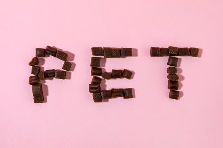creative concept photo of healthy pet dog food and treatsの写真素材