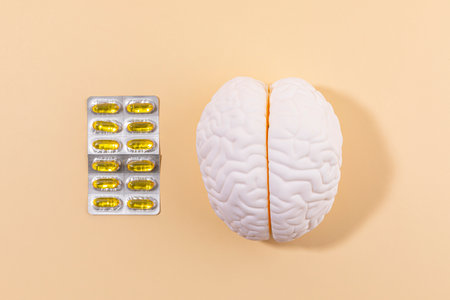 brain health and dementia series, brain miniature and omega 3の写真素材