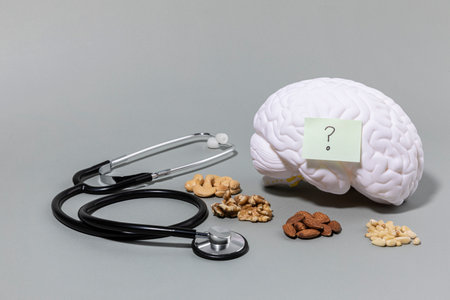 brain health and dementia series, brain miniature, stethoscope, nutsの写真素材