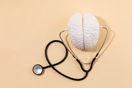 brain health and dementia series, examine a brain miniatureの写真素材