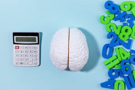 brain health and dementia series, brain miniature, calculator, numbersの写真素材