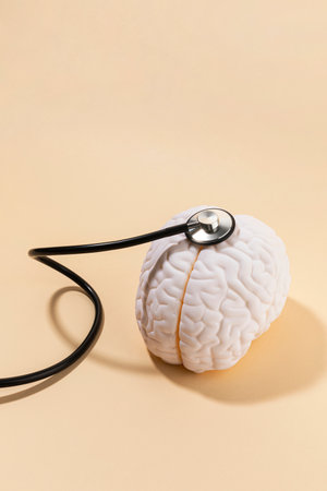 brain health and dementia series, examine a brain miniatureの写真素材