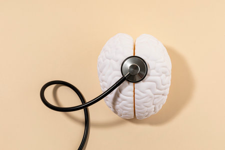 brain health and dementia series, examine a brain miniatureの写真素材