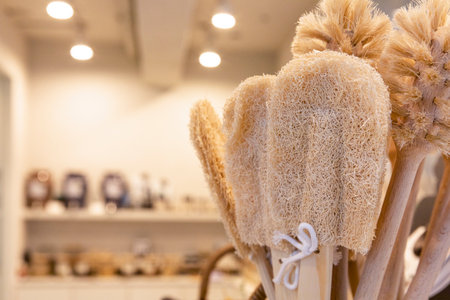 eco friendly habits hand gesture_eco friendly brushの写真素材
