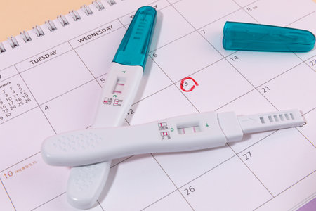 woman menstrual products_ calender and pregnancy testの写真素材