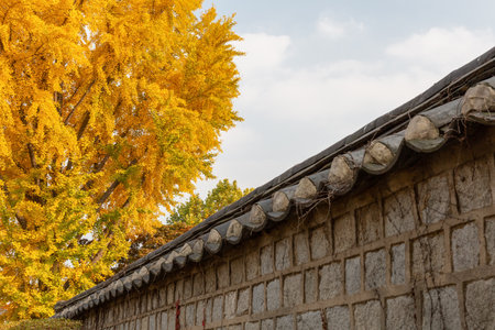 autumn landscape, scenery of Suwon Hwaseong in Koreaの写真素材