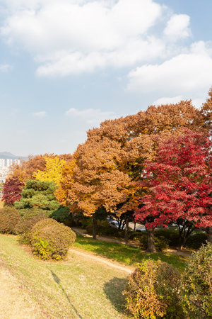 autumn landscape, scenery of Suwon Hwaseong in Koreaの写真素材
