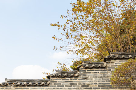 autumn landscape, scenery of Suwon Hwaseong in Koreaの写真素材