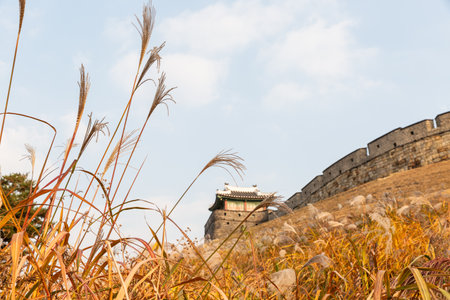 autumn landscape, scenery of Suwon Hwaseong in Koreaの写真素材