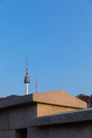 beautiful autumn landscape, scenery with coloful leaves and silver grass in Namsan Park of Koreaの写真素材