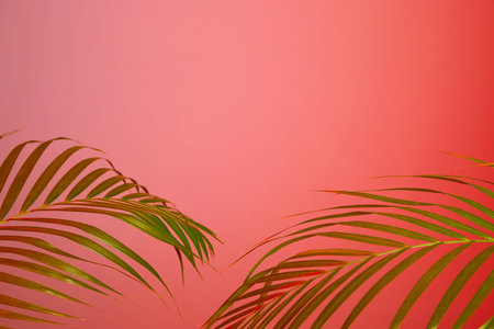 colorful flower background_palm leaf