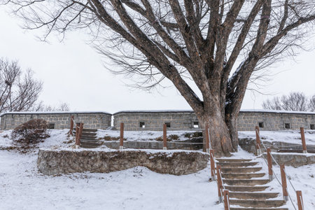 beautiful snowing winter scenery in Suwon Hwaseong Fortress trail in Koreaの写真素材