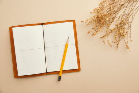 romantic flowers on simple backgroundの写真素材