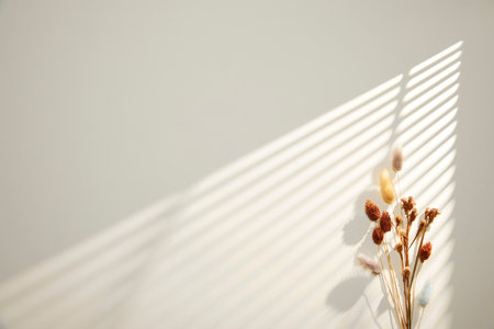 romantic flowers on simple backgroundの写真素材