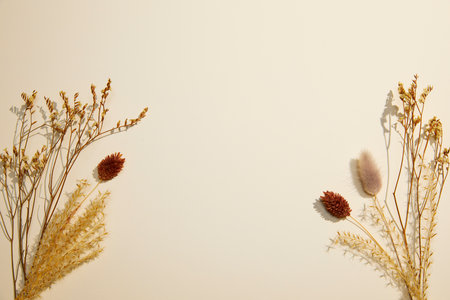 romantic flowers on simple backgroundの写真素材